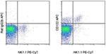 CD122 Antibody in Flow Cytometry (Flow)