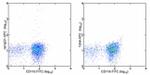 CD133 (Prominin-1) Antibody in Flow Cytometry (Flow)