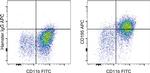 CD195 (CCR5) Antibody in Flow Cytometry (Flow)