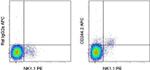 CD244.2 (2B4) Antibody in Flow Cytometry (Flow)