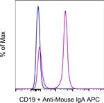 IgA Antibody in Flow Cytometry (Flow)