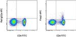 FOXP3 Antibody in Flow Cytometry (Flow)