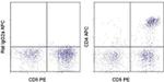 CD4 Antibody in Flow Cytometry (Flow)