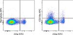 CD218a (IL-18Ra) Antibody in Flow Cytometry (Flow)