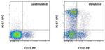 Ki-67 Antibody in Flow Cytometry (Flow)