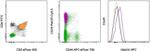 NOTCH3 Antibody in Flow Cytometry (Flow)