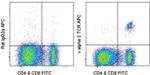 TCR V alpha 2 Antibody in Flow Cytometry (Flow)