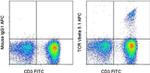 TCR V beta 5.1 Antibody in Flow Cytometry (Flow)