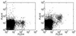 CD314 (NKG2D) Antibody in Flow Cytometry (Flow)