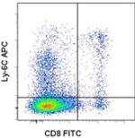 Ly-6C Antibody in Flow Cytometry (Flow)