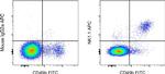 NK1.1 Antibody in Flow Cytometry (Flow)