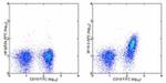 CD267 (TACI) Antibody in Flow Cytometry (Flow)