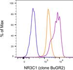 Glucocorticoid receptor (NR3C1) Antibody