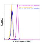 IkB alpha Antibody