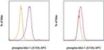 Phospho-MCL-1 (Ser159) Antibody in Flow Cytometry (Flow)