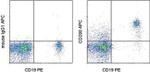 CD200 Antibody in Flow Cytometry (Flow)