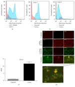 CD3 Antibody in Flow Cytometry (Flow)