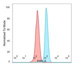 E4F1 Antibody in Flow Cytometry (Flow)