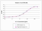 Human IL-1 alpha Protein in Functional Assay (Functional)