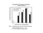 Human IL-8 (CXCL8) (77 aa) Protein in Functional Assay (Functional)