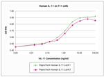 Human IL-11 Protein in Functional Assay (Functional)