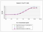 Human IL-13 Protein in Functional Assay (Functional)