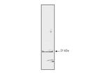 p21 WAF1 Antibody in Western Blot (WB)