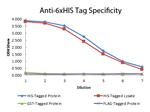 6X His Tag Antibody in ELISA (ELISA)