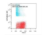 AKT3 Antibody in Flow Cytometry (Flow)