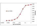 HMW E.Coli Host Cell Proteins Antibody in ELISA (ELISA)