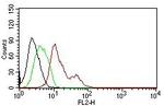 Estrogen Receptor, alpha (Marker of Estrogen Dependence) Antibody in Flow Cytometry (Flow)