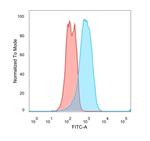 Estrogen Receptor, alpha (Marker of Estrogen Dependence) Antibody in Flow Cytometry (Flow)