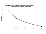 IL-18 Antibody in Neutralization (Neu)