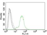 ER-beta-1 (Estrogen Receptor beta-1) Antibody in Flow Cytometry (Flow)