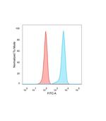 EZH2/KMT6 Antibody in Flow Cytometry (Flow)