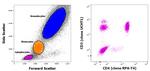 CD3/CD4 Antibody in Flow Cytometry (Flow)