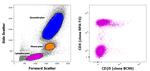 CD4/CD25 Antibody in Flow Cytometry (Flow)