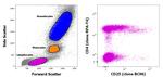 CD4/CD25 Antibody in Flow Cytometry (Flow)