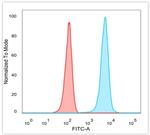 JAZF1 (Transcription Corepressor) Antibody in Flow Cytometry (Flow)