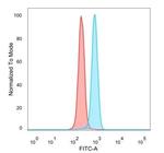 SNW1 Antibody in Flow Cytometry (Flow)