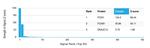 FOXI1/Forkhead Box Protein L1 (Transcription Factor) Antibody in Peptide array (ARRAY)