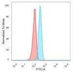 FOXI1/Forkhead Box Protein L1 (Transcription Factor) Antibody in Flow Cytometry (Flow)