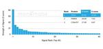 ZHX3 (Transcriptional Repressor) Antibody in Peptide array (ARRAY)