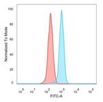 ZHX3 (Transcriptional Repressor) Antibody in Flow Cytometry (Flow)