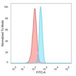 HIC2 (Hypermethylated in cancer 2) (Transcriptional Repressor) Antibody in Flow Cytometry (Flow)