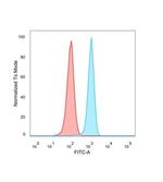 Fos-related antigen 2 (FRA-2)/FOS-like antigen 2 (FOSL2) Antibody in Flow Cytometry (Flow)