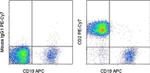 CD2 Antibody in Flow Cytometry (Flow)