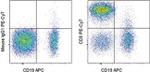 CD5 Antibody in Flow Cytometry (Flow)