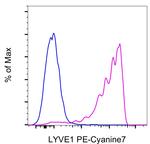 LYVE1 Antibody in Flow Cytometry (Flow)