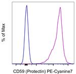 CD59 (Protectin) Antibody in Flow Cytometry (Flow)